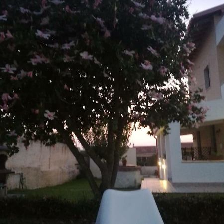 Bed and Breakfast La Casa Delle Farfalle Сиракузы Экстерьер фото
