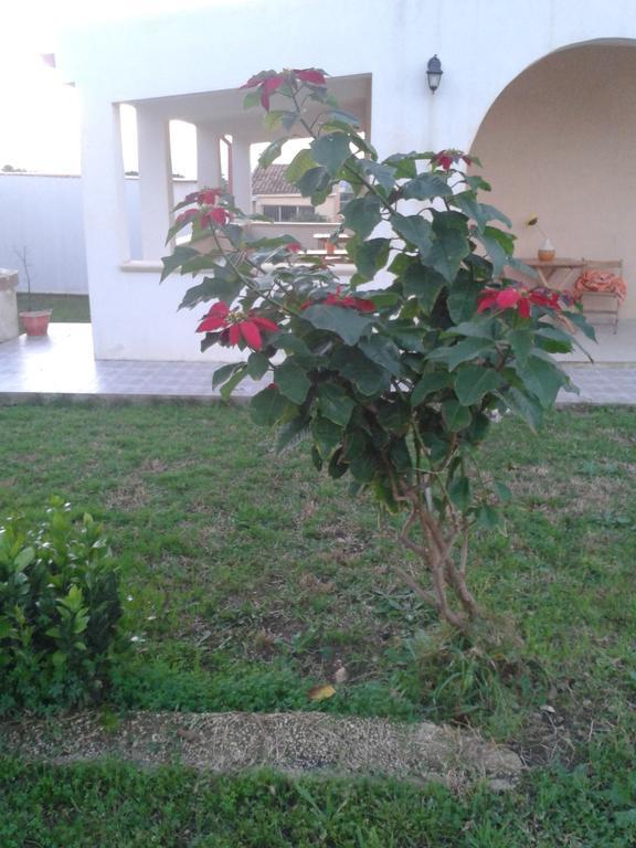 Bed and Breakfast La Casa Delle Farfalle Сиракузы Экстерьер фото